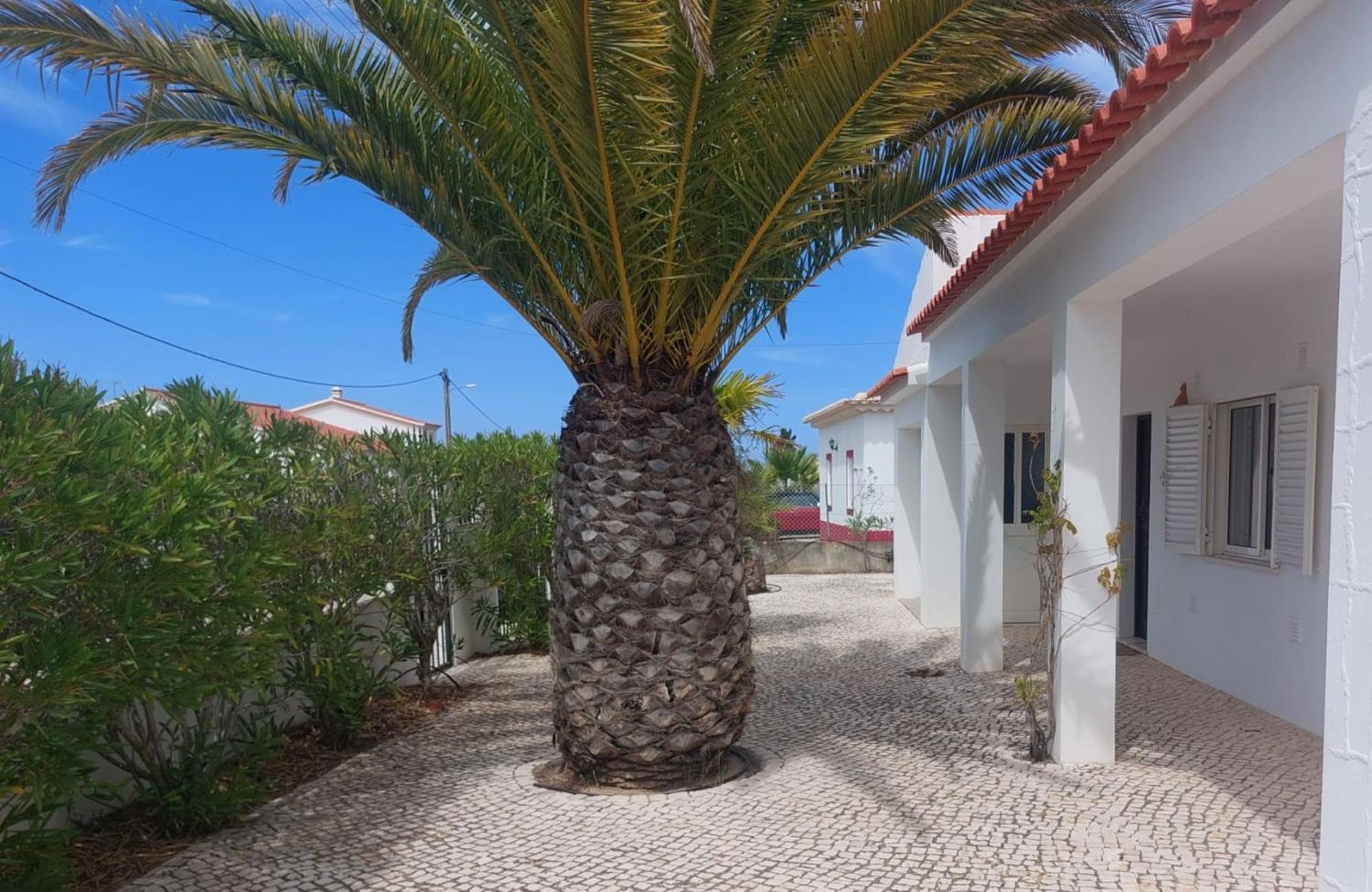 Casa Flora - Vale Da Telha - Nature - Surf & Sun Aljezur Exterior foto